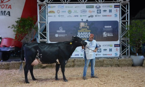 Expo Girolando vai acontecer em Barra Mansa entre os dias 25 e 27 de julho